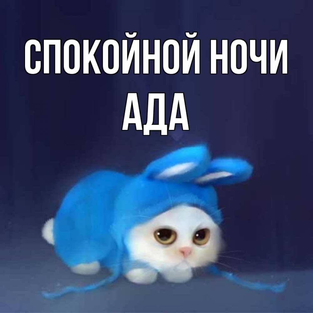 Открытка на каждый день с именем, Ада Спокойной ночи кот в голубом костюме кролика с ушками Прикольная открытка с пожеланием онлайн скачать бесплатно 