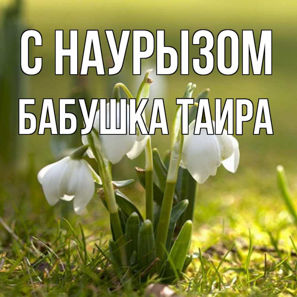 Открытка на каждый день с именем, Бабушка-Таира С наурызом ранние цветы 2 Прикольная открытка с пожеланием онлайн скачать бесплатно 