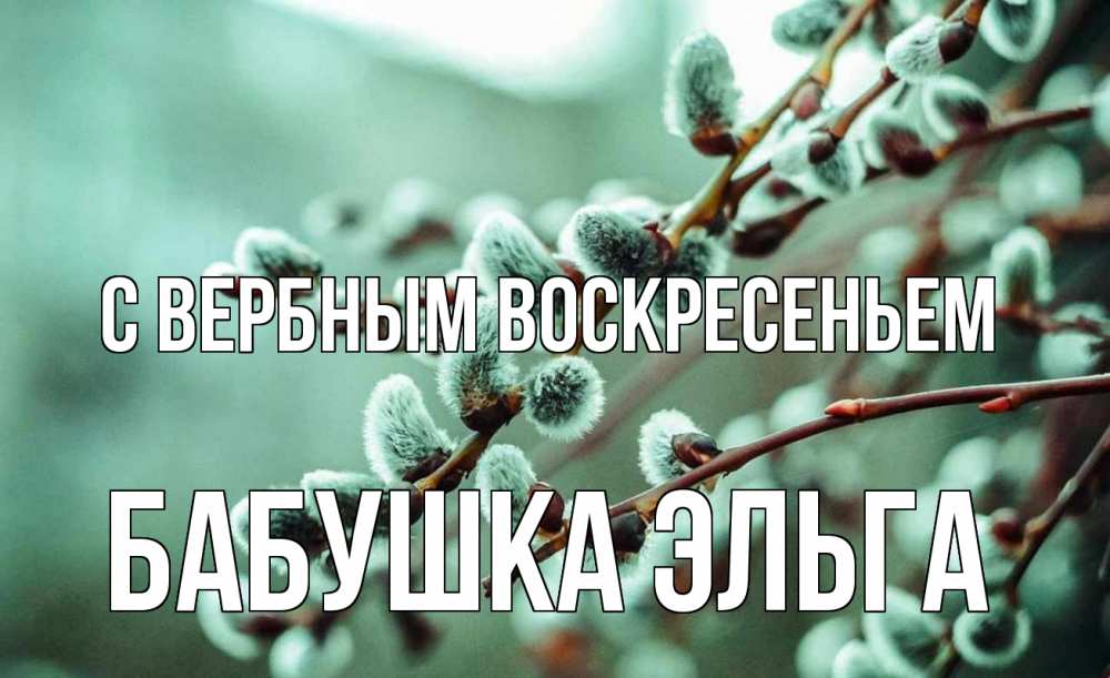 Открытка на каждый день с именем, Бабушка-Эльга С вербным воскресеньем верба Прикольная открытка с пожеланием онлайн скачать бесплатно 
