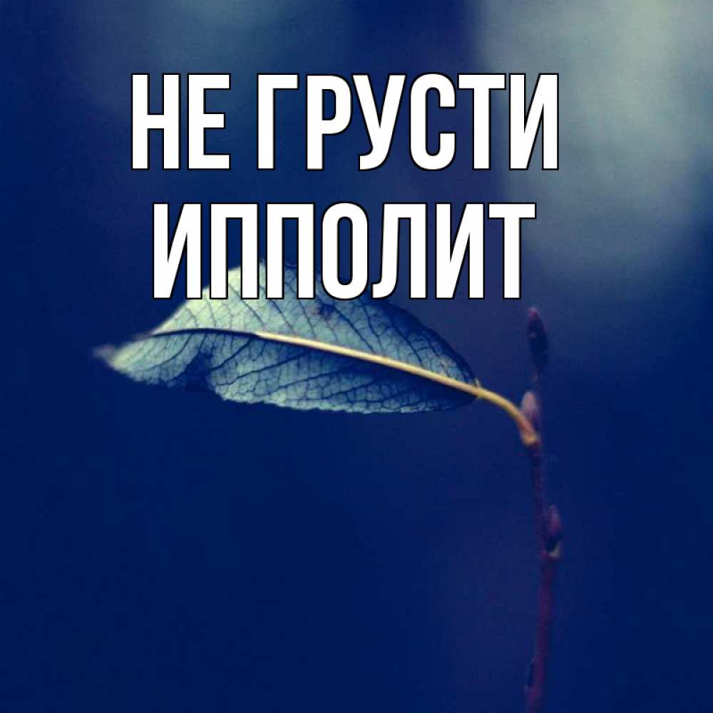 Открытка на каждый день с именем, Ипполит Не грусти растение Прикольная открытка с пожеланием онлайн скачать бесплатно 