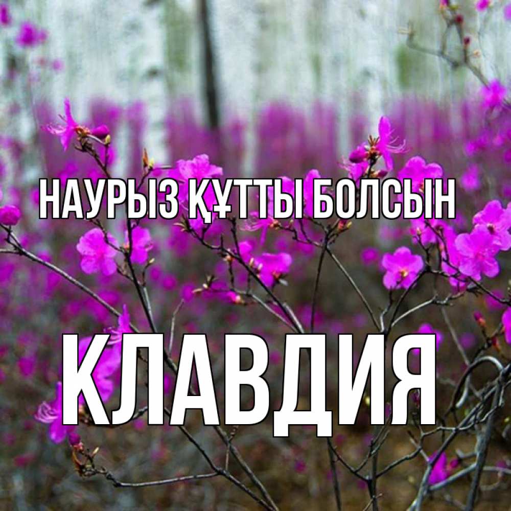 Открытка на каждый день с именем, Клавдия Наурыз құтты болсын дикие цветы Прикольная открытка с пожеланием онлайн скачать бесплатно 