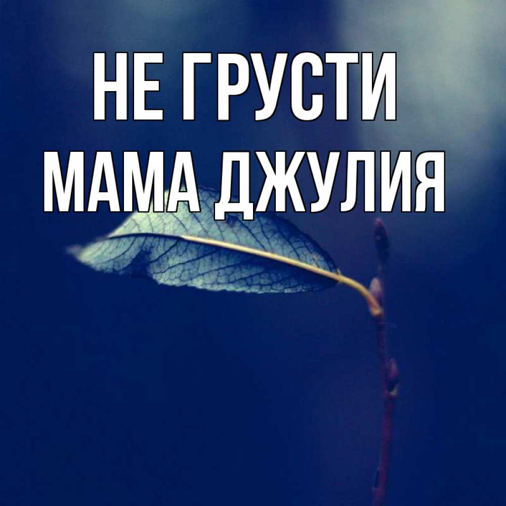 Открытка на каждый день с именем, Мама-Джулия Не грусти растение Прикольная открытка с пожеланием онлайн скачать бесплатно 