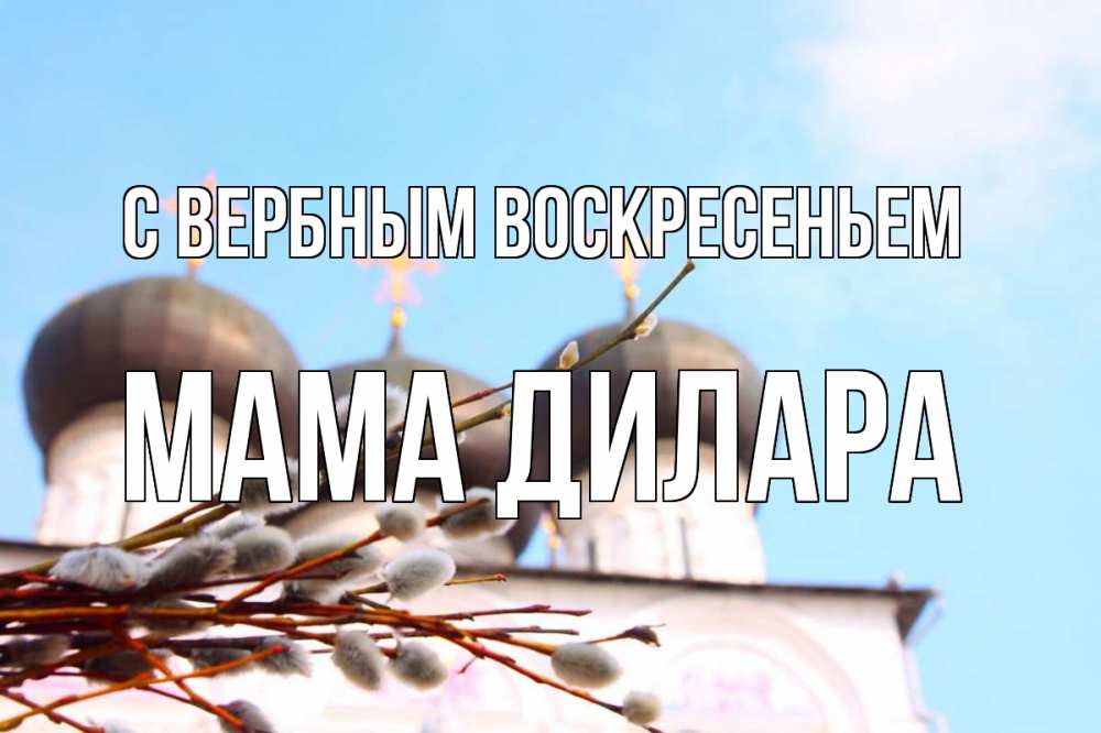 Открытка на каждый день с именем, Мама-Дилара С вербным воскресеньем верба Прикольная открытка с пожеланием онлайн скачать бесплатно 