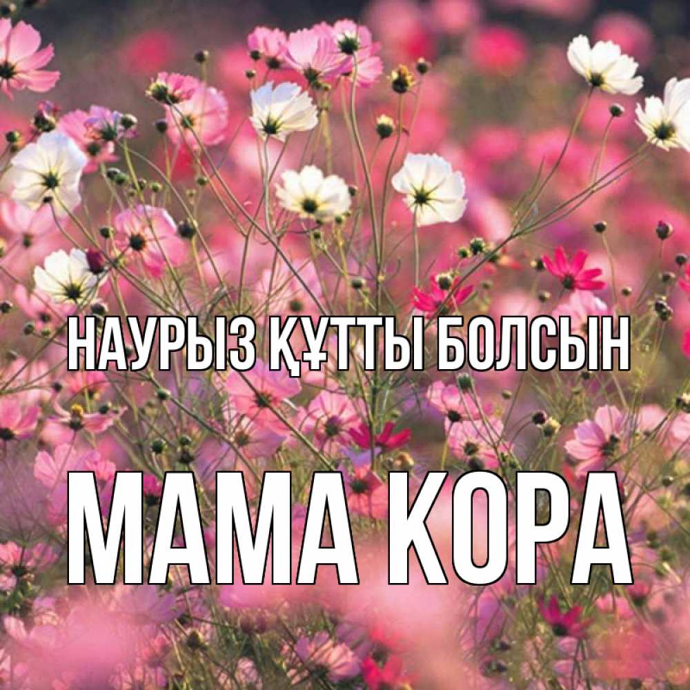 Открытка на каждый день с именем, Мама-Кора Наурыз құтты болсын красиво 1 Прикольная открытка с пожеланием онлайн скачать бесплатно 