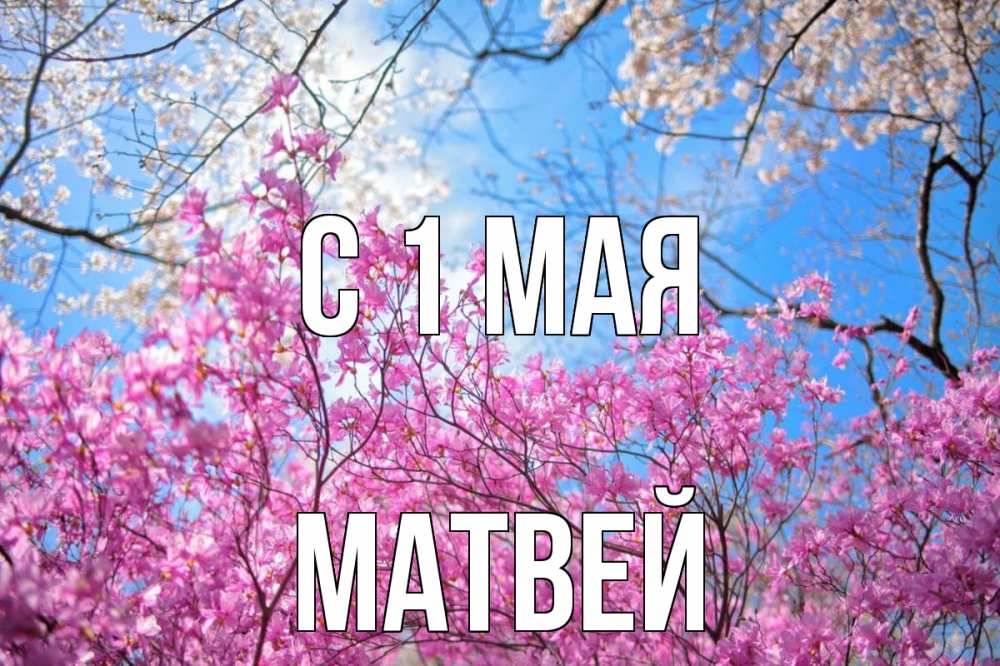 Открытка на каждый день с именем, Матвей С 1 мая С 1 мая Прикольная открытка с пожеланием онлайн скачать бесплатно 