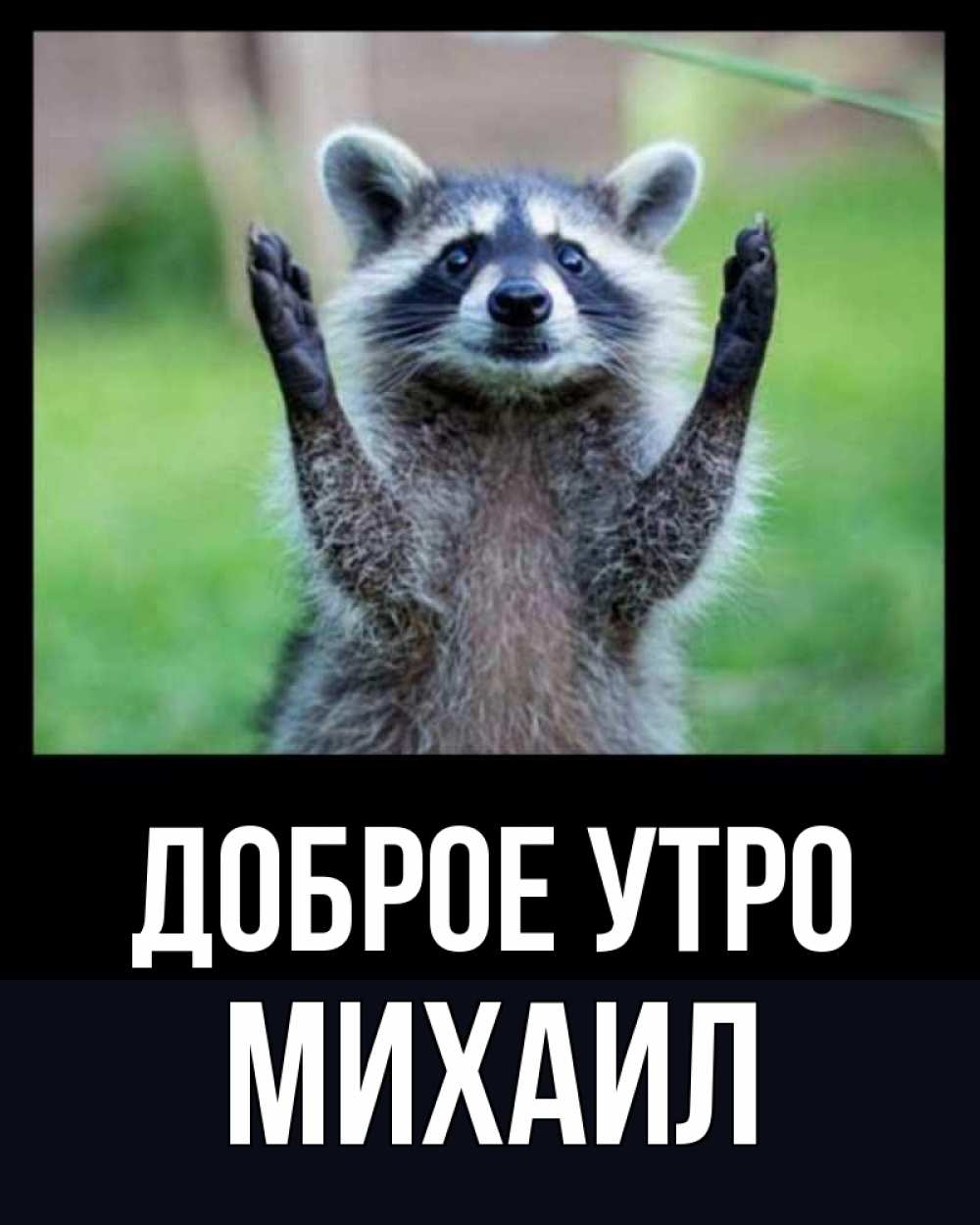 Открытка на каждый день с именем, Михаил Доброе утро хорошее настроение утречком Прикольная открытка с пожеланием онлайн скачать бесплатно 