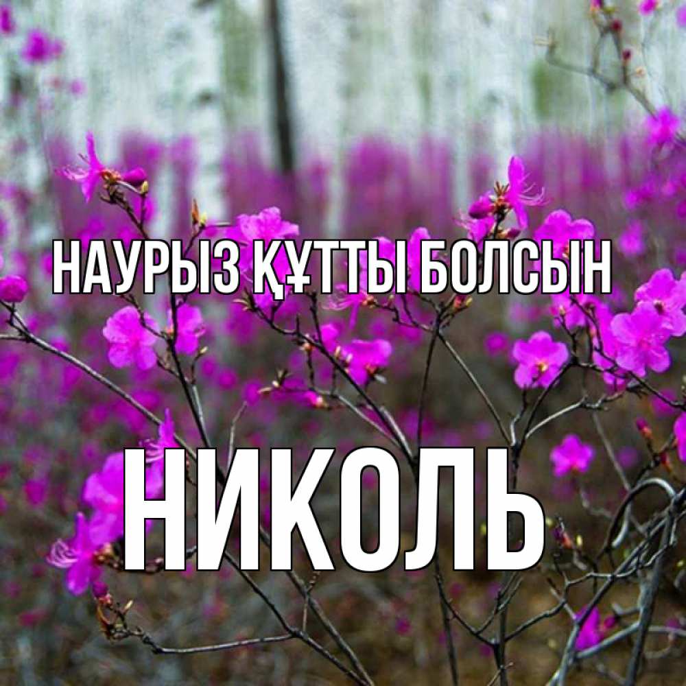 Открытка на каждый день с именем, Николь Наурыз құтты болсын дикие цветы Прикольная открытка с пожеланием онлайн скачать бесплатно 