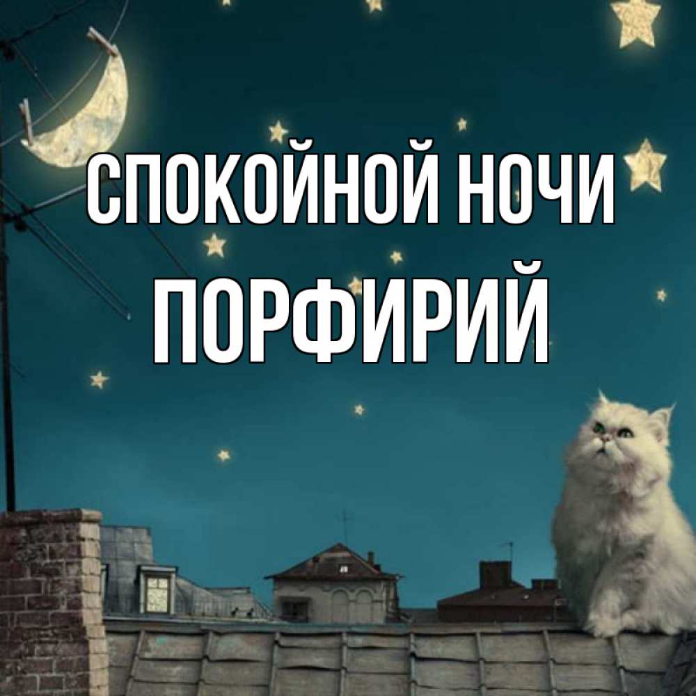 Открытка на каждый день с именем, Порфирий Спокойной ночи белый кот сидит на крыше Прикольная открытка с пожеланием онлайн скачать бесплатно 