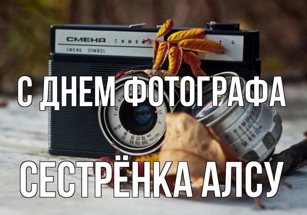 Открытка на каждый день с именем, Сестрёнка-Алсу С днем фотографа с днем фотографа Прикольная открытка с пожеланием онлайн скачать бесплатно 
