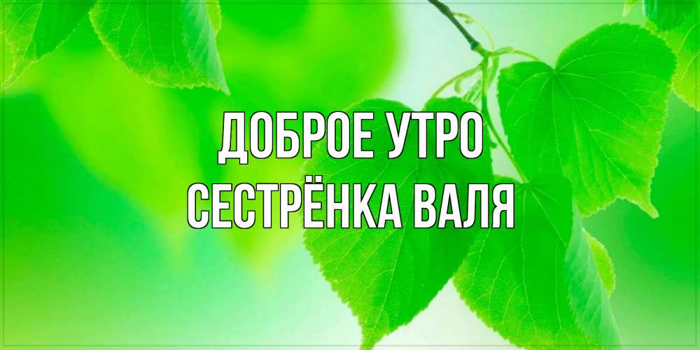 Открытка на каждый день с именем, Сестрёнка-Валя Доброе утро доброе утро с березовыми листьями Прикольная открытка с пожеланием онлайн скачать бесплатно 