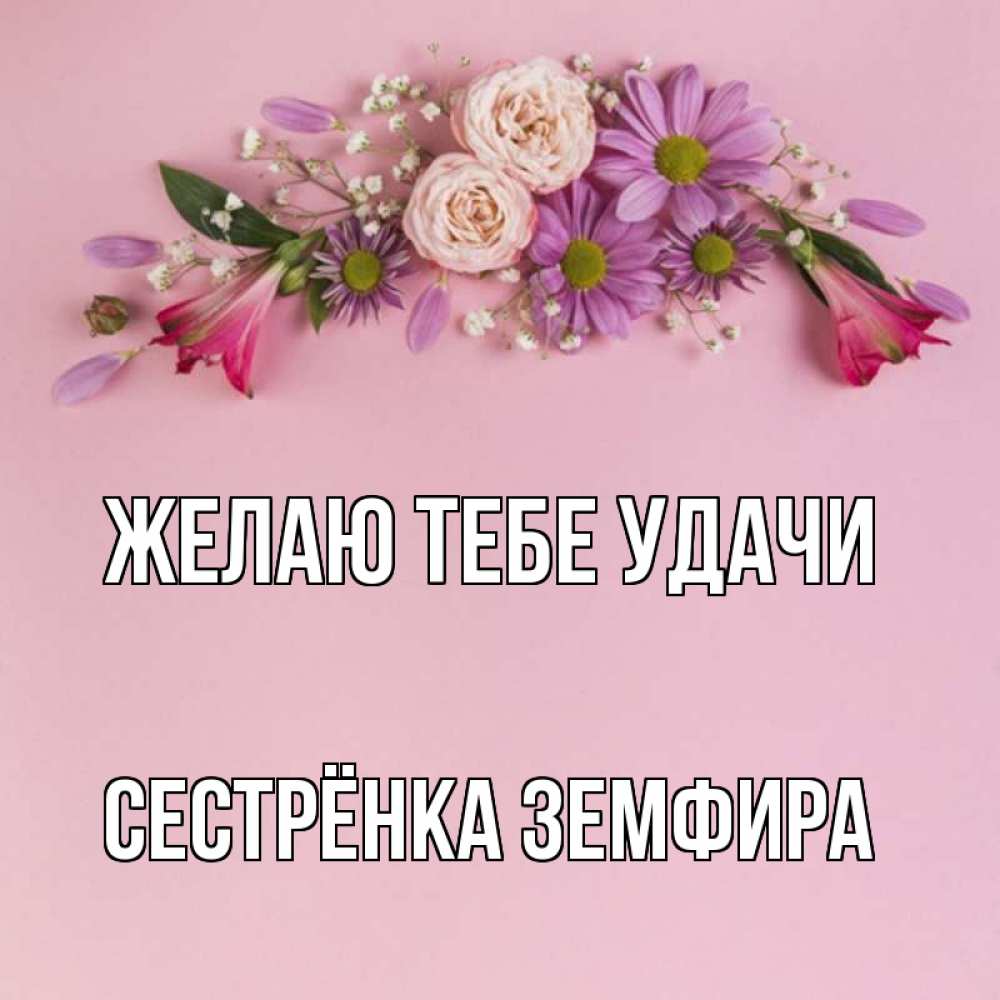Открытка на каждый день с именем, Сестрёнка-Земфира Желаю тебе удачи розовый фон Прикольная открытка с пожеланием онлайн скачать бесплатно 