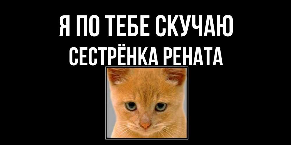 Открытка на каждый день с именем, Сестрёнка-Рената Я по тебе скучаю открытки рыжий котенок скучает по тебе Прикольная открытка с пожеланием онлайн скачать бесплатно 