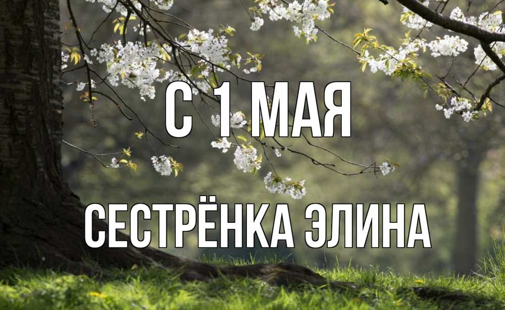 Открытка на каждый день с именем, Сестрёнка-Элина С 1 мая С 1 мая Прикольная открытка с пожеланием онлайн скачать бесплатно 