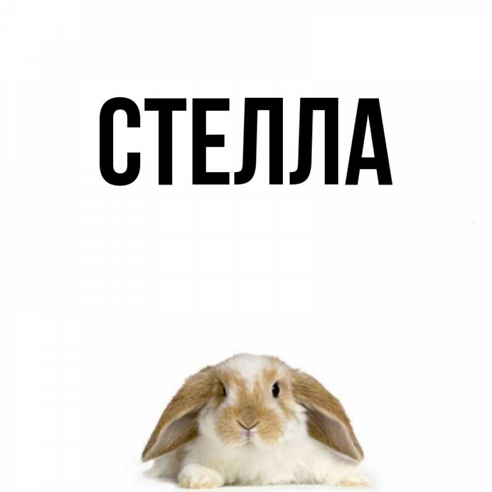 Открытка на каждый день с именем, Стелла Главная открытки с произвольным текстом который можно вставить в открытку и создать ее самостоятельно бесплатно онлайн Прикольная открытка с пожеланием онлайн скачать бесплатно 