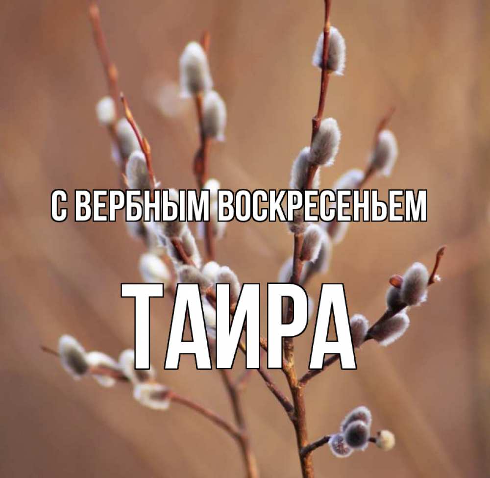 Открытка на каждый день с именем, Таира С вербным воскресеньем верба Прикольная открытка с пожеланием онлайн скачать бесплатно 