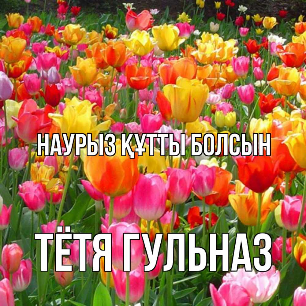 Открытка на каждый день с именем, Тётя-Гульназ Наурыз құтты болсын на наурыз  ура ура Прикольная открытка с пожеланием онлайн скачать бесплатно 