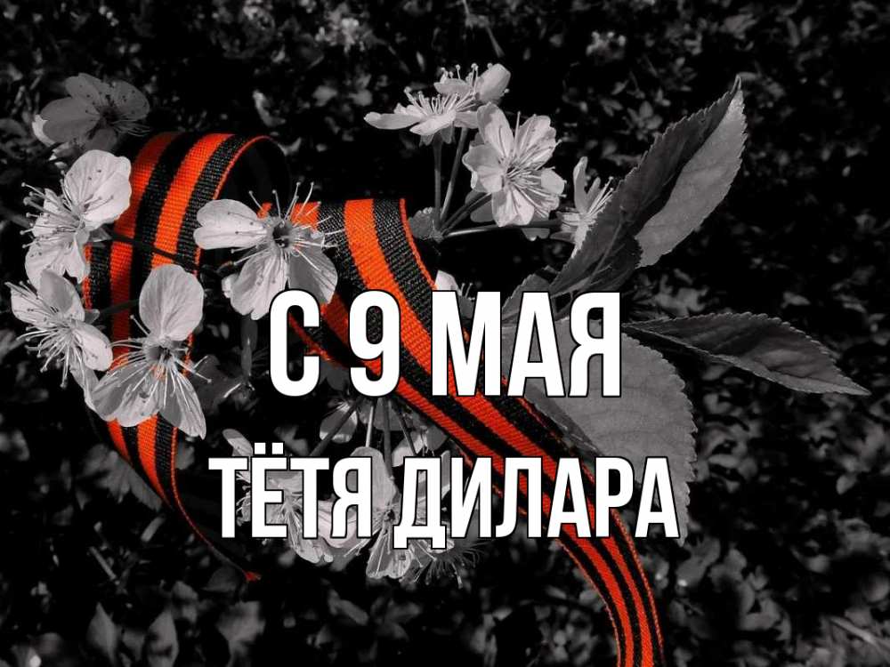 Открытка на каждый день с именем, Тётя-Дилара С 9 мая 9 мая Прикольная открытка с пожеланием онлайн скачать бесплатно 