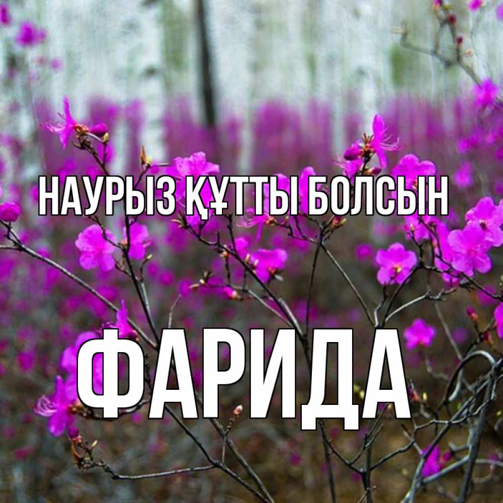 Открытка на каждый день с именем, Фарида Наурыз құтты болсын дикие цветы Прикольная открытка с пожеланием онлайн скачать бесплатно 