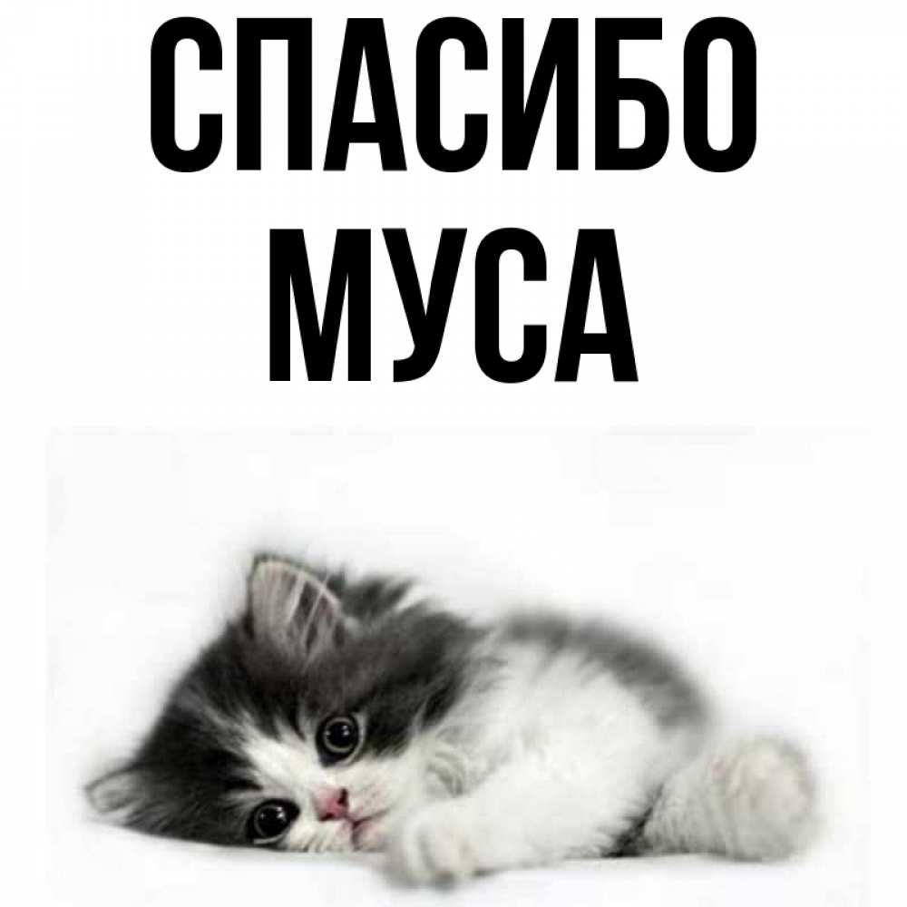 Картинки С Именем Муса
