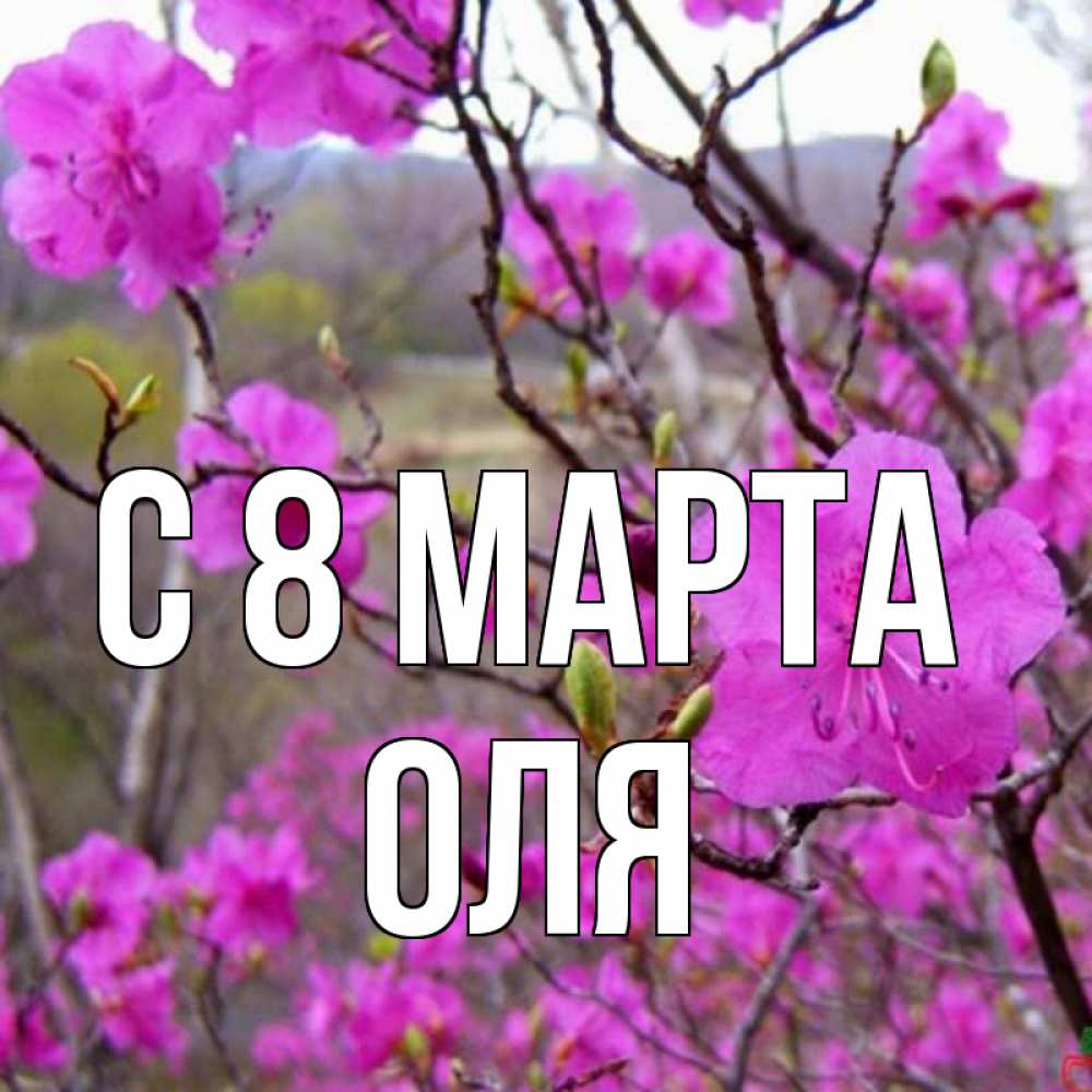 Картинка С 8 МАРТА, оля