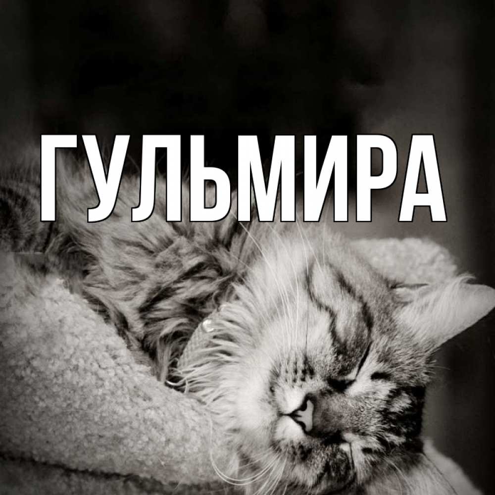 как прочие красивые картинки с именем гульмира камера гинеколога этом