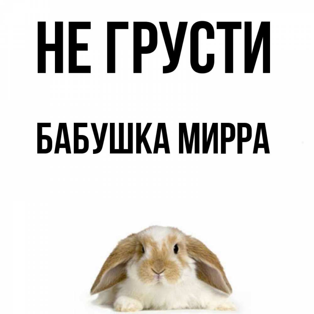 Открытка на каждый день с именем, Бабушка-Мирра Не грусти коричнево белый заяц с большими ушками Прикольная открытка с пожеланием онлайн скачать бесплатно 