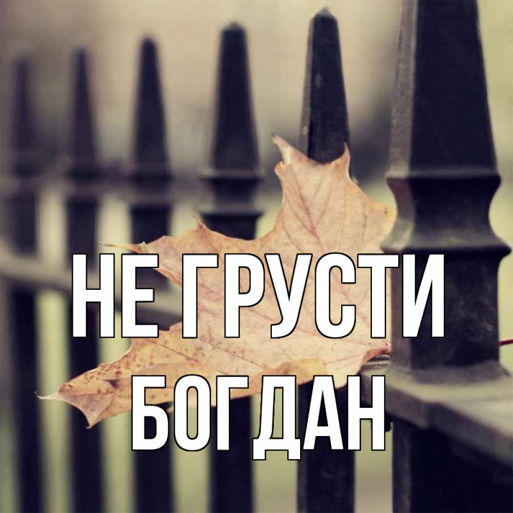 Открытка на каждый день с именем, Богдан Не грусти лист клена Прикольная открытка с пожеланием онлайн скачать бесплатно 