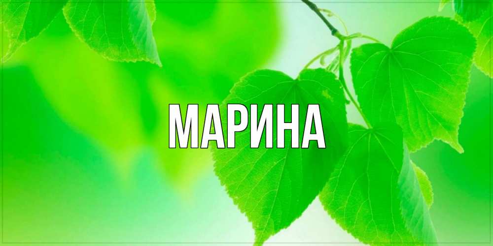 Открытка на каждый день с именем, Марина Главная доброе утро с березовыми листьями Прикольная открытка с пожеланием онлайн скачать бесплатно 