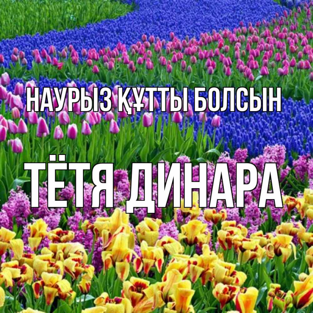 Открытка на каждый день с именем, Тётя-Динара Наурыз құтты болсын цветы Прикольная открытка с пожеланием онлайн скачать бесплатно 
