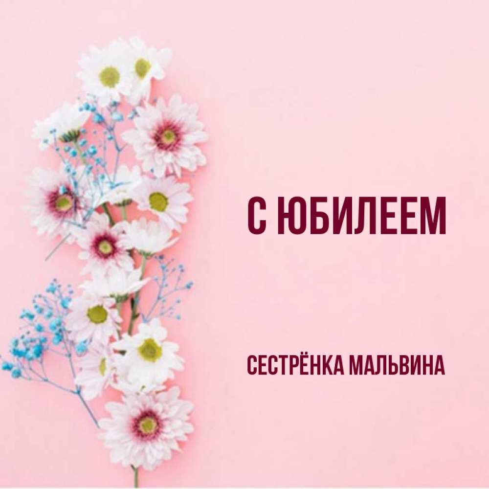 Открытка на каждый день с именем, Сестрёнка-Мальвина С юбилеем Родная моя с днем рождения тебя картинка с цветами белыми и голубыми Прикольная открытка с пожеланием онлайн скачать бесплатно 