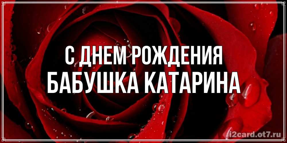 Открытка на каждый день с именем, Бабушка-Катарина С днем рождения крупная бордовая роза Прикольная открытка с пожеланием онлайн скачать бесплатно 