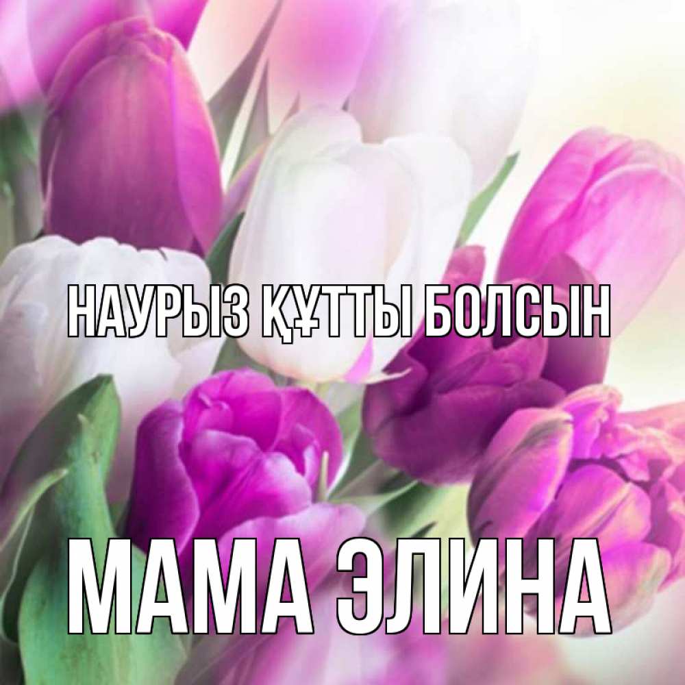 Открытка на каждый день с именем, Мама-Элина Наурыз құтты болсын весна 1 Прикольная открытка с пожеланием онлайн скачать бесплатно 