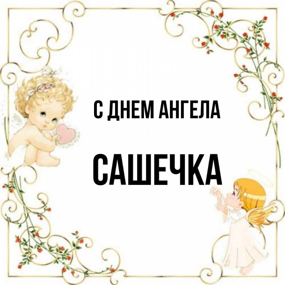 Сашечка. Сашечка имя.