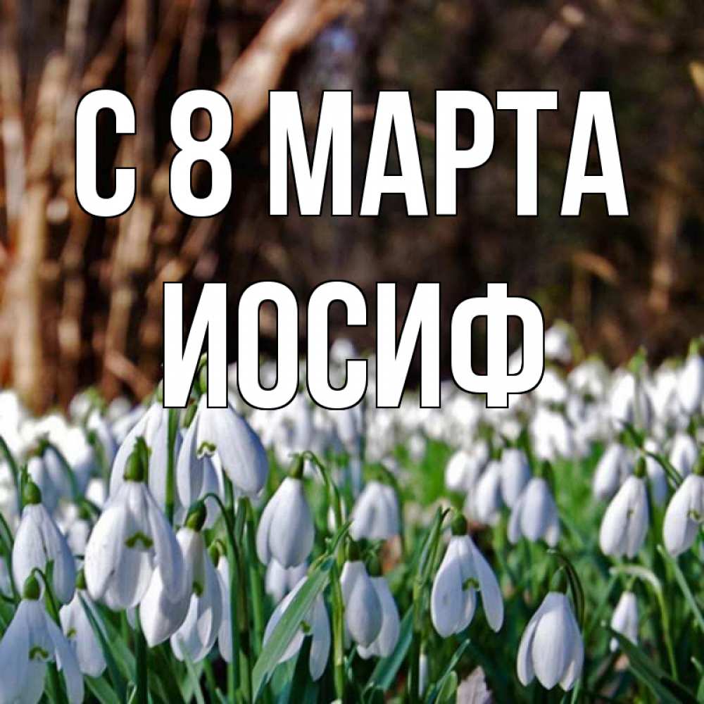 Открытка на каждый день с именем, Иосиф С 8 марта с подснежниками 1 Прикольная открытка с пожеланием онлайн скачать бесплатно 
