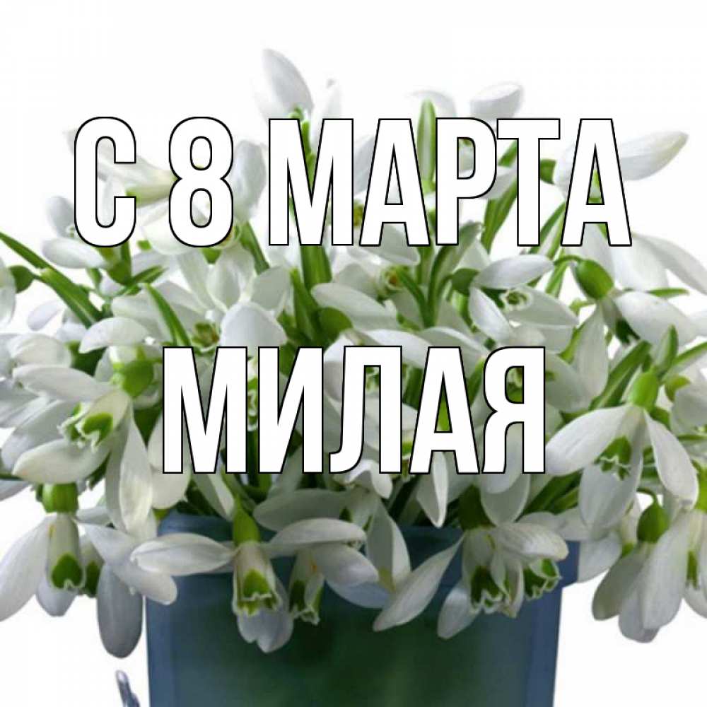 Открытка на каждый день с именем, Милая С 8 МАРТА цветы к международному женскому дню Прикольная открытка с пожеланием онлайн скачать бесплатно 