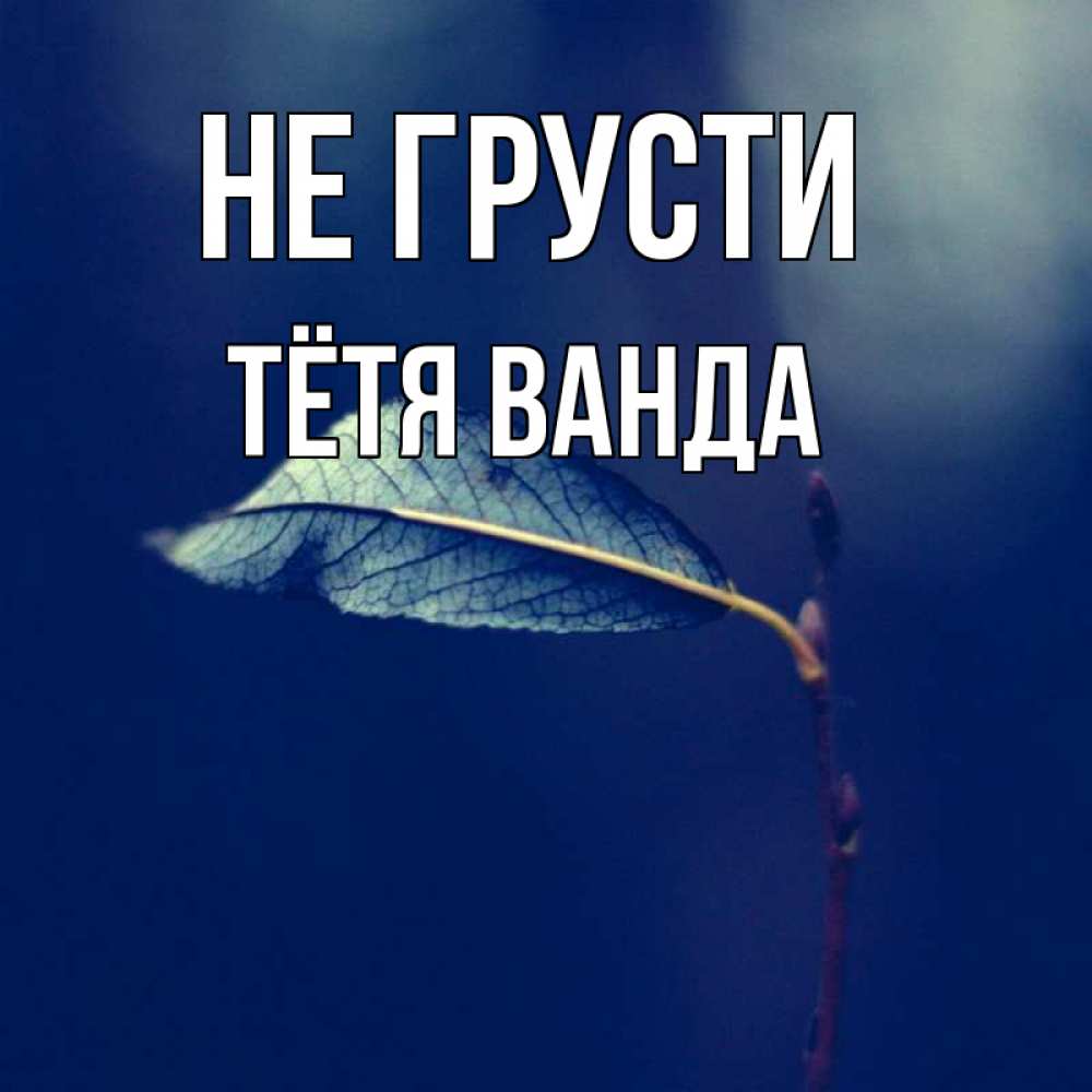 Открытка на каждый день с именем, Тётя-Ванда Не грусти растение Прикольная открытка с пожеланием онлайн скачать бесплатно 
