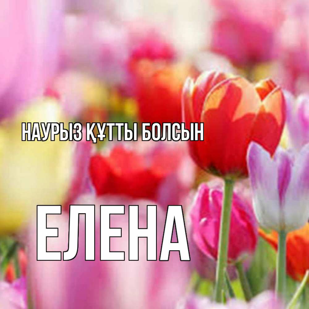 Открытка на каждый день с именем, Елена Наурыз құтты болсын на наурыз  2 Прикольная открытка с пожеланием онлайн скачать бесплатно 