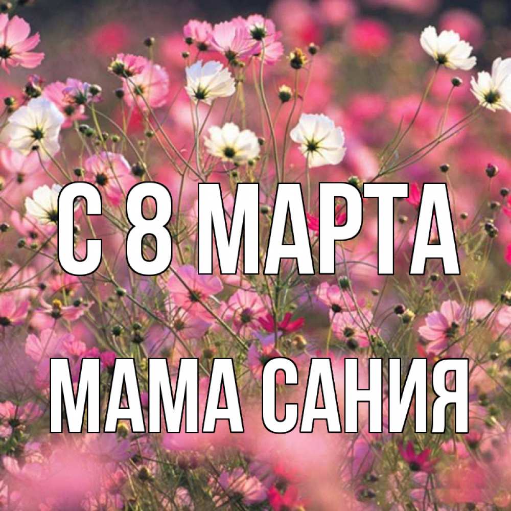 Открытка на каждый день с именем, Мама-Сания С 8 марта красиво 1 Прикольная открытка с пожеланием онлайн скачать бесплатно 