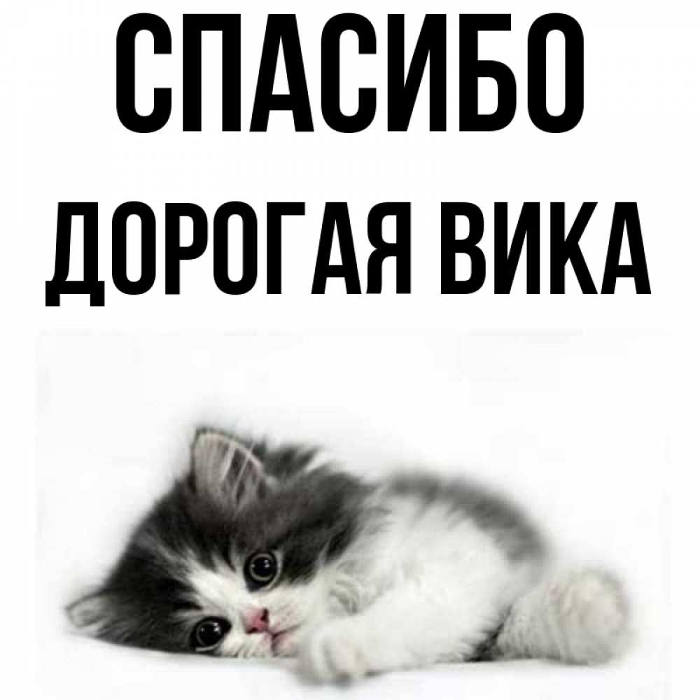 Спасибо вика картинки
