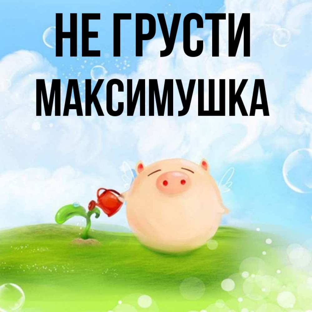 Доброе утро максимушка картинки