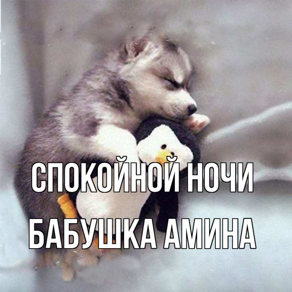 Открытка на каждый день с именем, Бабушка-Амина Спокойной ночи обнимашки щенка и пингвина Прикольная открытка с пожеланием онлайн скачать бесплатно 