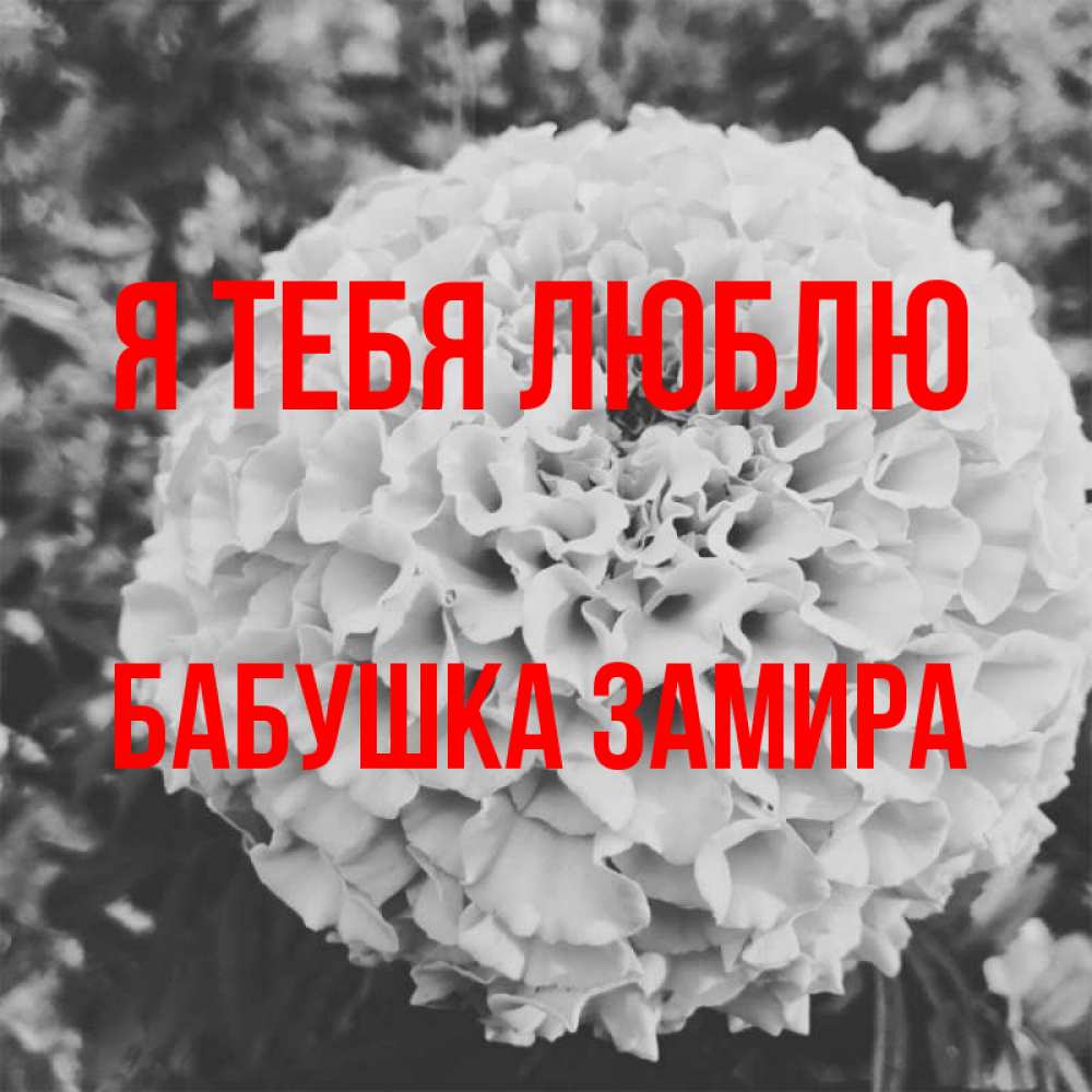 Открытка на каждый день с именем, Бабушка-Замира Я тебя люблю подпись Прикольная открытка с пожеланием онлайн скачать бесплатно 