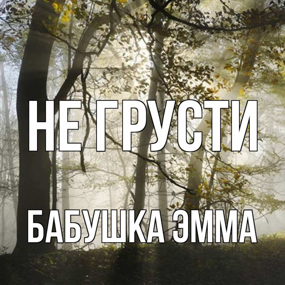 Открытка на каждый день с именем, Бабушка-Эмма Не грусти лес и свет Прикольная открытка с пожеланием онлайн скачать бесплатно 