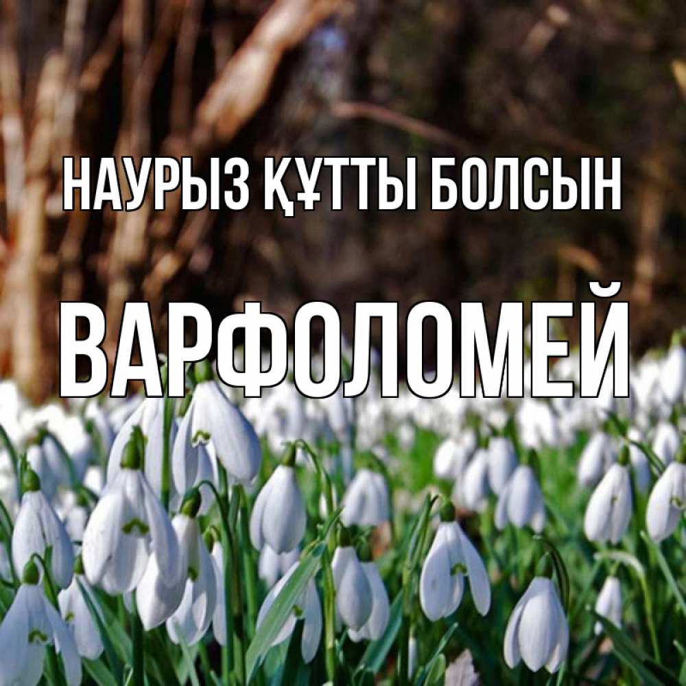 Открытка на каждый день с именем, Варфоломей Наурыз құтты болсын с подснежниками 1 Прикольная открытка с пожеланием онлайн скачать бесплатно 