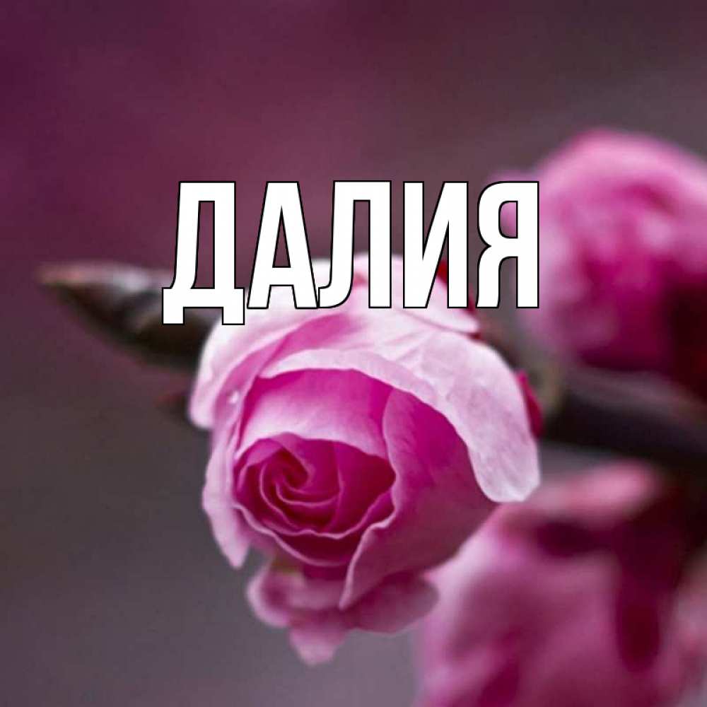 Открытка на каждый день с именем, Далия Главная весна Прикольная открытка с пожеланием онлайн скачать бесплатно 