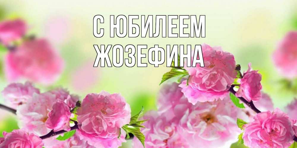 Открытка на каждый день с именем, Жозефина С юбилеем веточки с цветками Прикольная открытка с пожеланием онлайн скачать бесплатно 