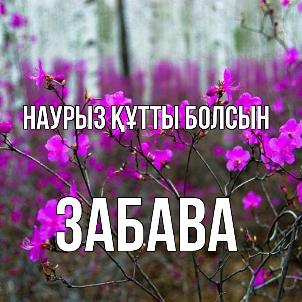 Открытка на каждый день с именем, Забава Наурыз құтты болсын дикие цветы Прикольная открытка с пожеланием онлайн скачать бесплатно 