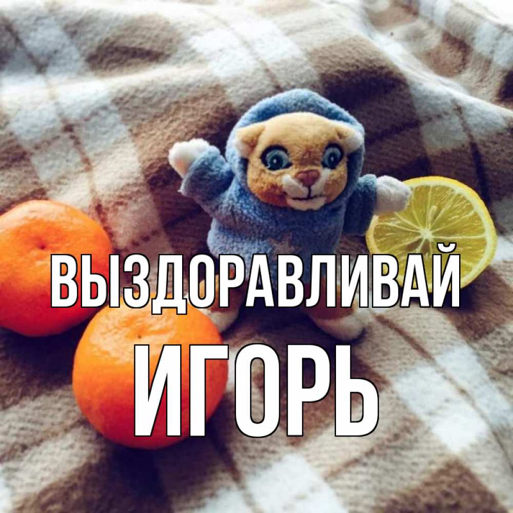 Открытка на каждый день с именем, Игорь Выздоравливай вот тебе апельсинка и лимон Прикольная открытка с пожеланием онлайн скачать бесплатно 