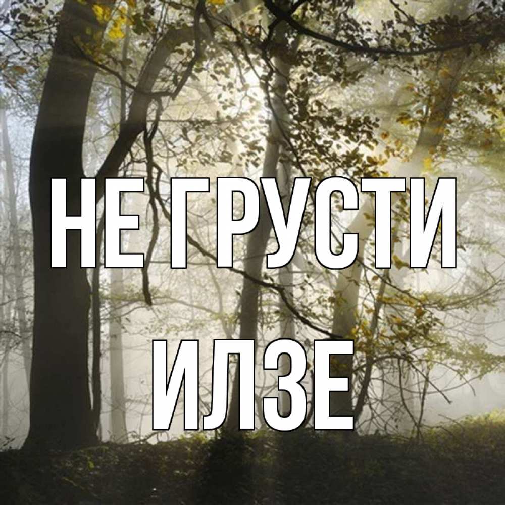 Открытка на каждый день с именем, Илзе Не грусти лес и свет Прикольная открытка с пожеланием онлайн скачать бесплатно 