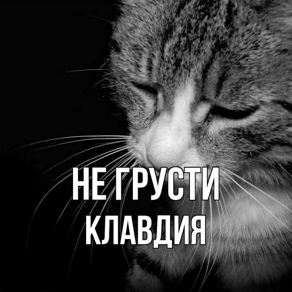 Открытка на каждый день с именем, Клавдия Не грусти грустный котик Прикольная открытка с пожеланием онлайн скачать бесплатно 
